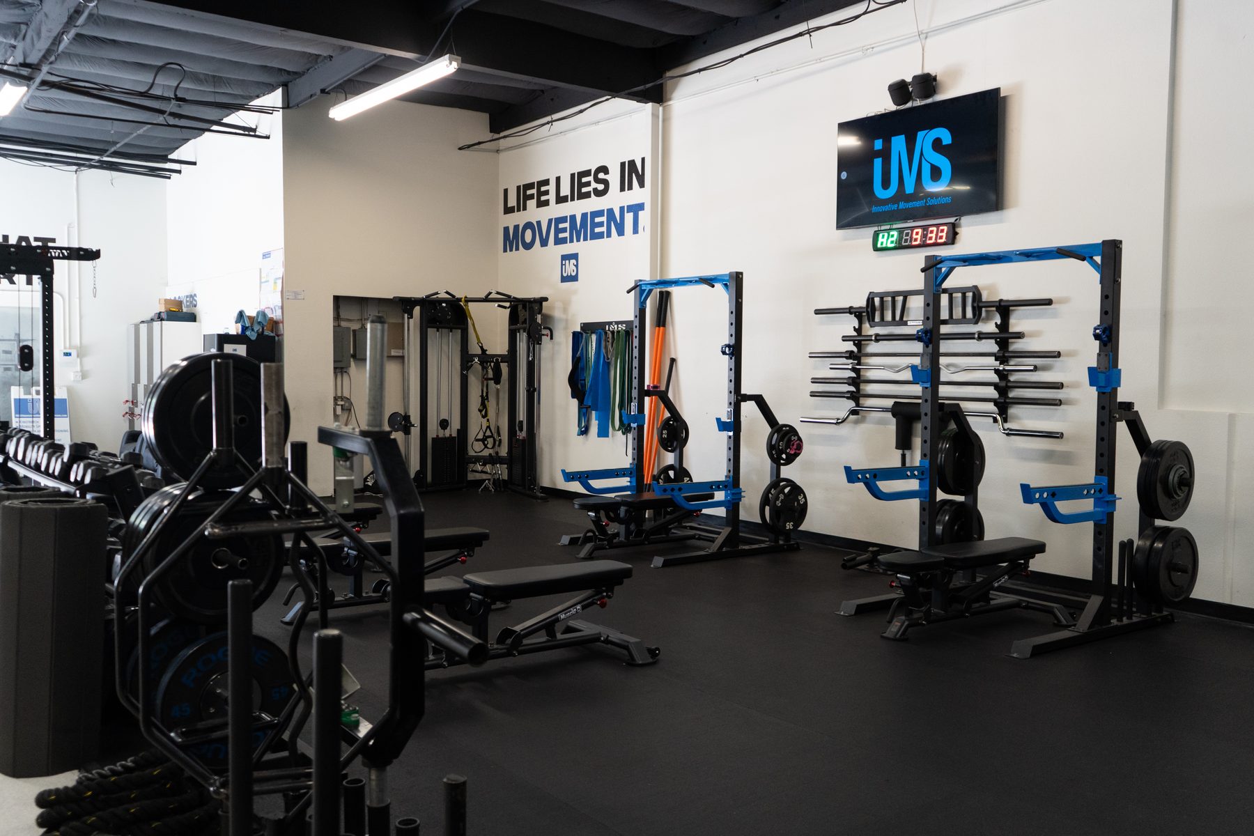 IMS strength training floor — benches and racks